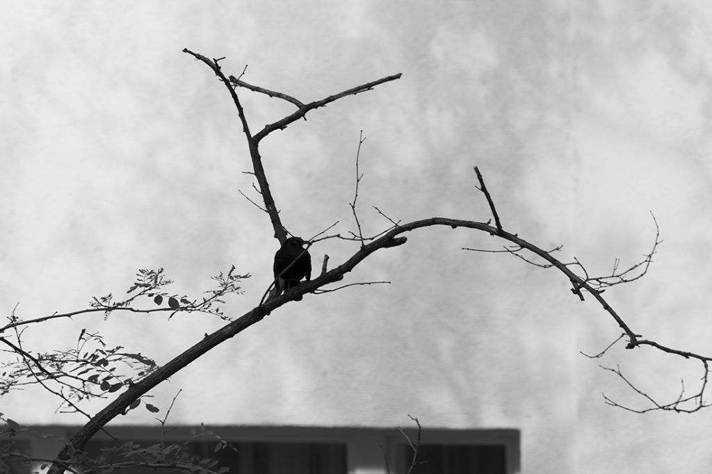Fragility